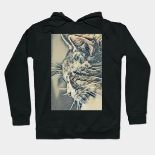 Kanagawa Kitty Hoodie